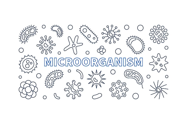 Microorganism vector horizontal banner in outline style