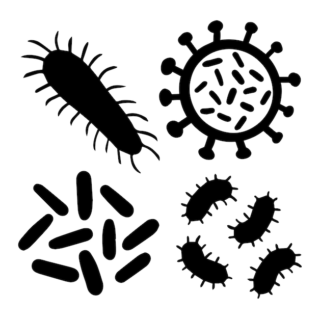 Vector microorganisms in vibrio bacilli shape with flagella