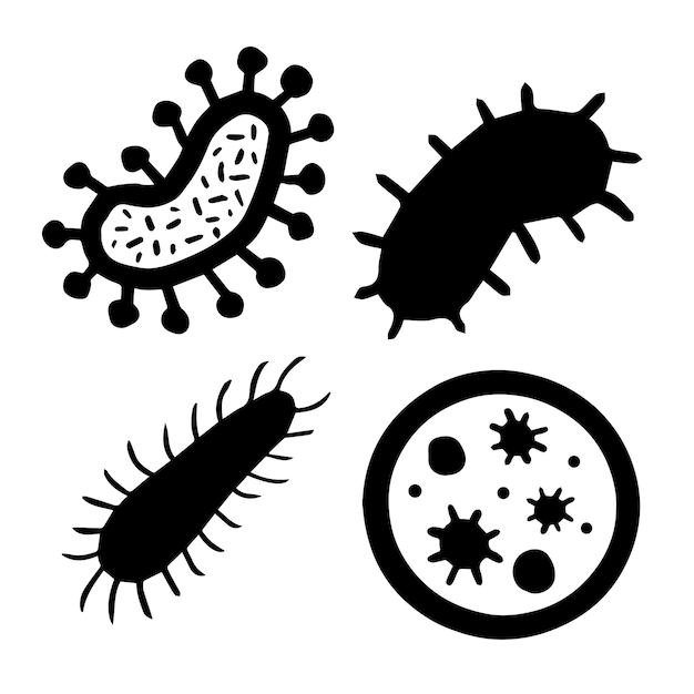 Vector microorganisms in vibrio coccus and bacilli shapes