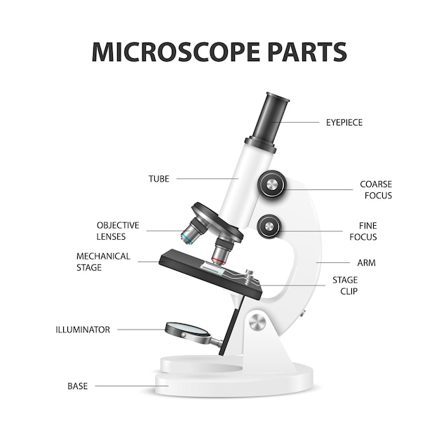 현미경 부품 구조 해부학 벡터 3d 현실적인 흰색 실험실 현미경 흰색 절연 화학 생물학 도구 과학 실험실 연구 교육 인포 그래픽 디자인 서식 파일