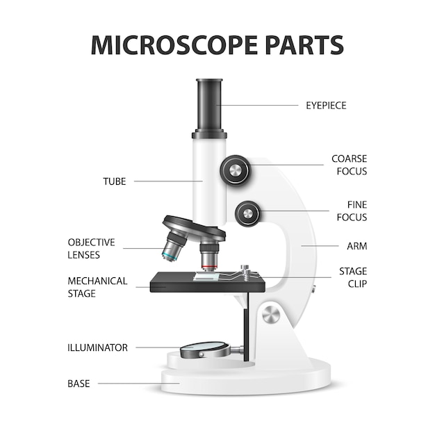 Vector microscope parts vector d realistic white laboratory microscope isolated on white chemistry biology