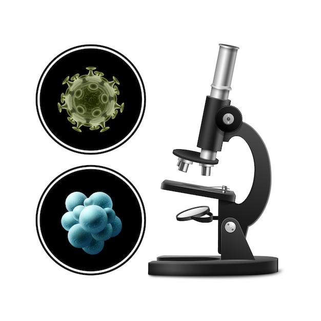 Vector microscope with bacteria