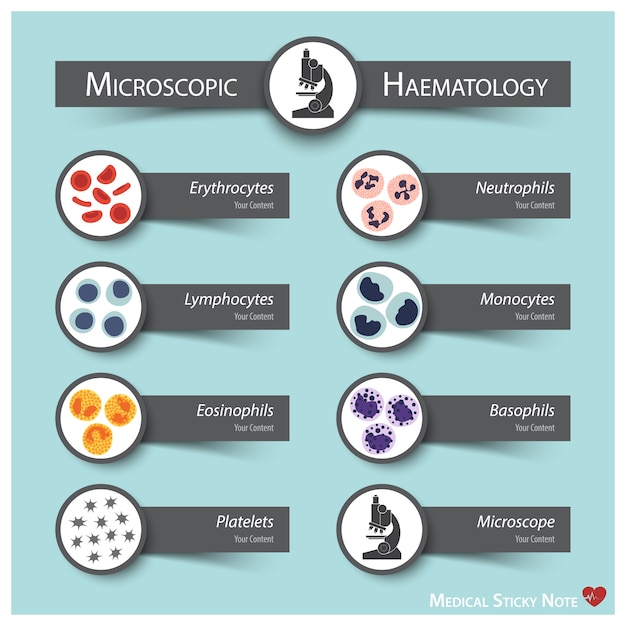 Microscopische hematologie