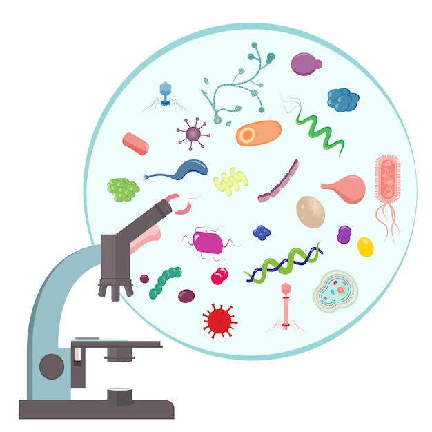 Vector microscopische micro-organismen die leven in een biome wetenschappelijke vector illustratie grafisch icoon