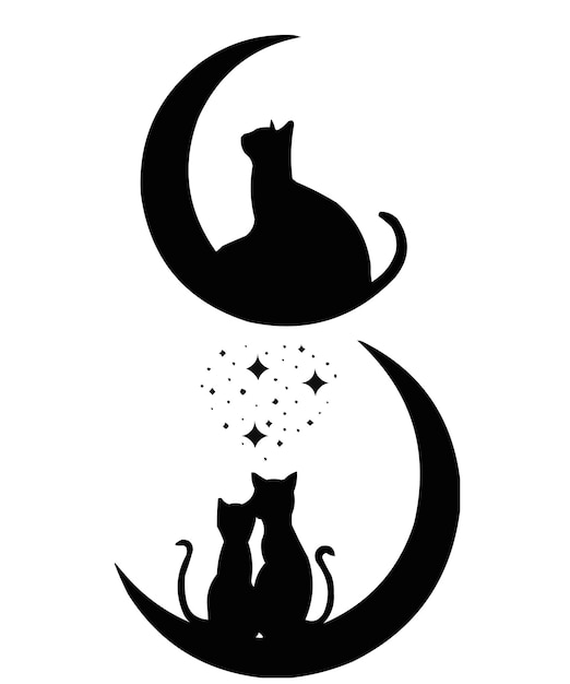 midnight whiskers a cats silhouette