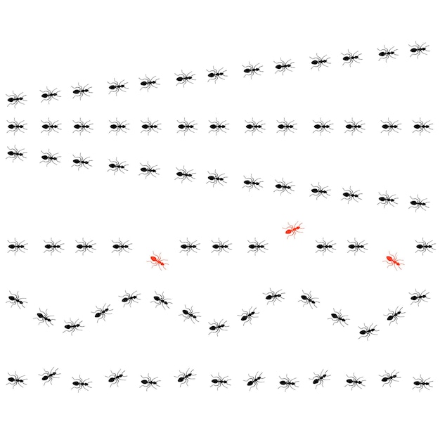 Mieren trail set lijnen van werkende mieren op witte achtergrond groepen insecten marcheren of lopen op de weg Insect kolonie controle desinfectie vectorillustratie