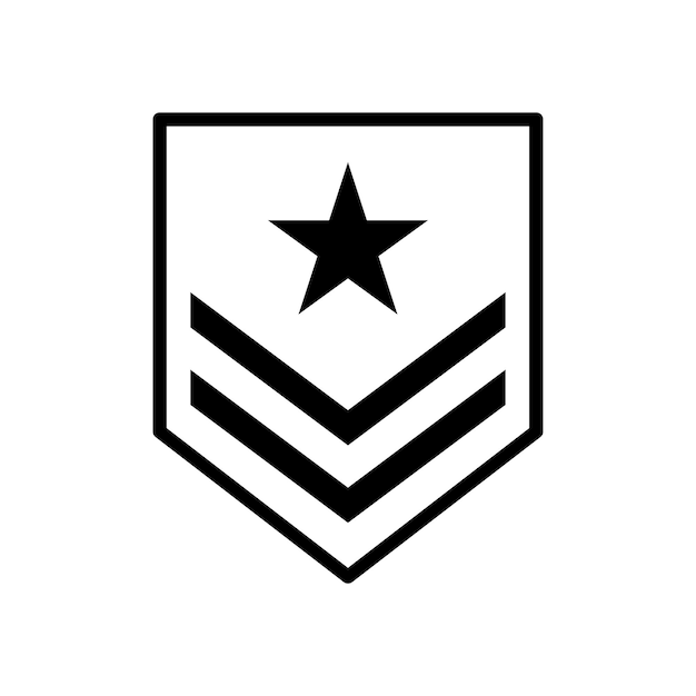 Military emblem icon vector