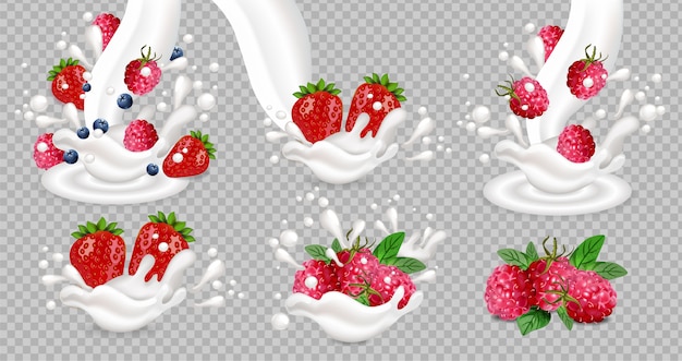 Vector milk and yogurt splash with berry fruits