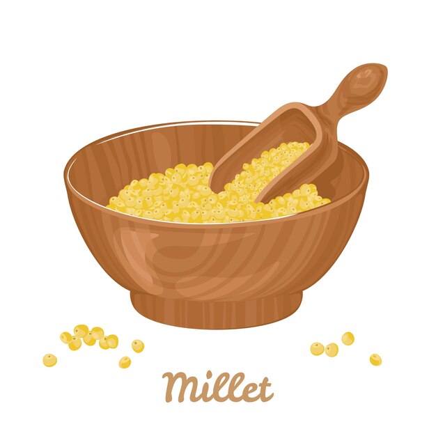 Millet groats in wooden bowl and with spoon isolated on white background vector illustration of raw