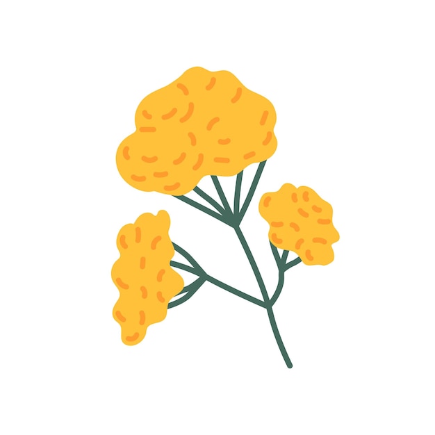 Mimosa bloem tak Floral plant met gele weelderige bloemen Bloeide wildflower botanische platte vectorillustratie van vers gesneden flora geïsoleerd op witte achtergrond