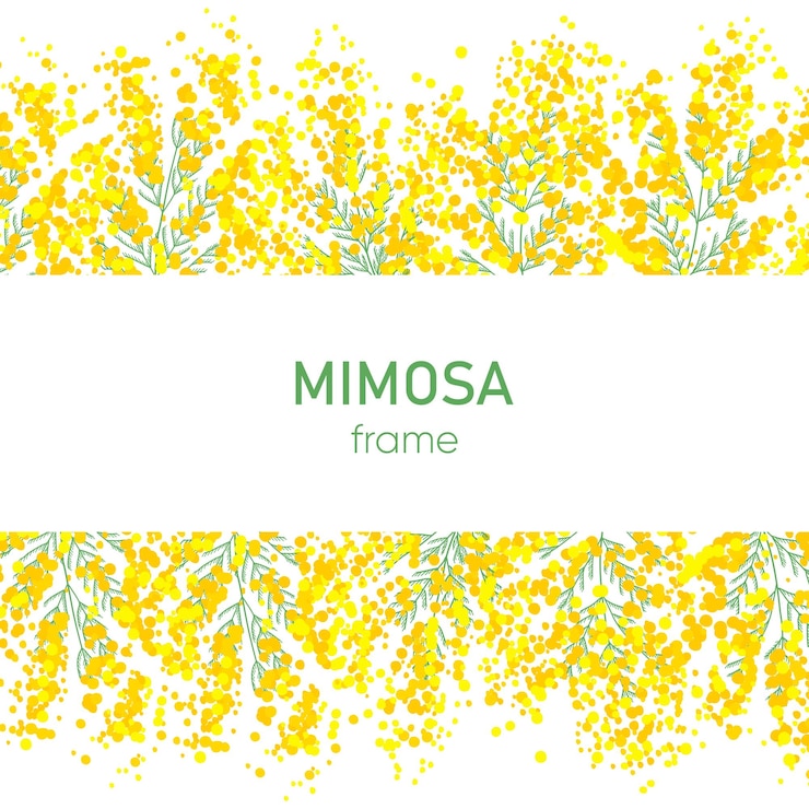 Vector mimosa motif frame wallpaper illustration