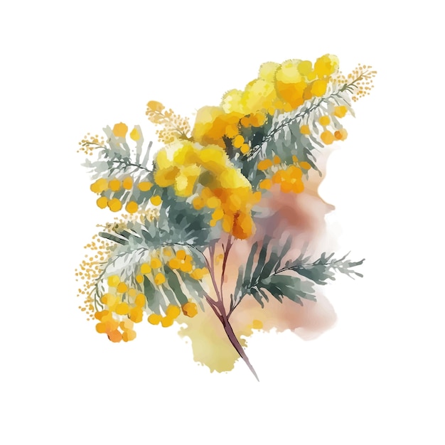 MIMOSA waterverf