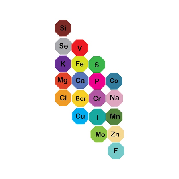 Vector mineralen, micro-elementen en macro-elementen die nuttig zijn voor de menselijke gezondheid grondbeginselen van gezond eten en een gezonde levensstijl