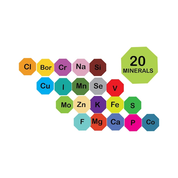 벡터 인체 건강에 유용한 미네랄 미량원소 및 거시원소 건강한 식생활과 건강한 생활방식의 기본
