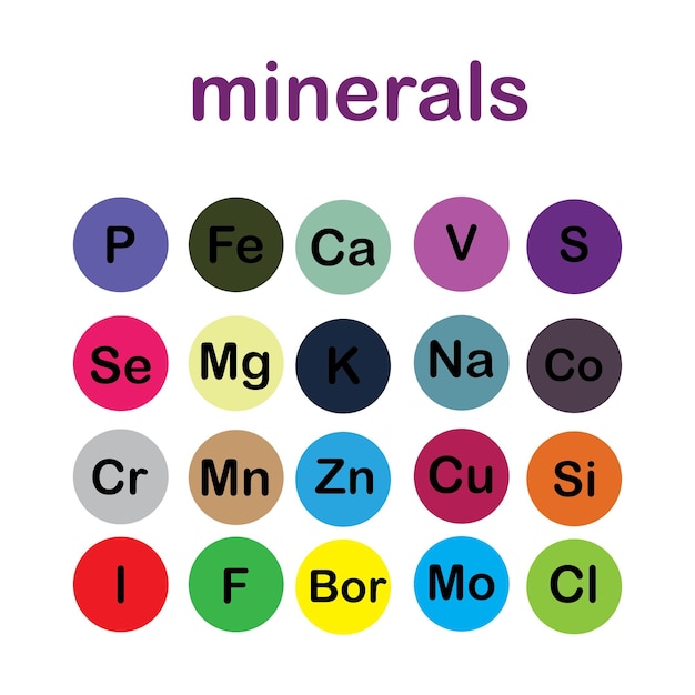 Vector minerals microelements and macro elements useful for human health fundamentals of healthy eating and healthy lifestyles