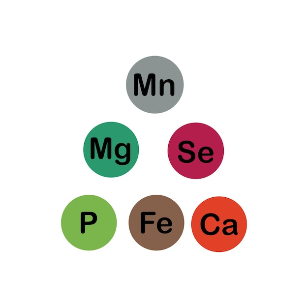 Vector minerals microelements and macro elements useful for human health fundamentals of healthy eating and healthy lifestyles