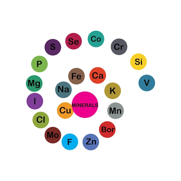 Vector minerals microelements and macro elements useful for human health fundamentals of healthy eating and healthy lifestyles