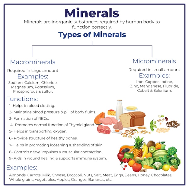 Vector minerals