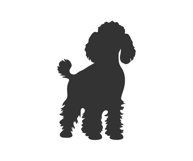Vector miniature poodle silhouette vector illustration design