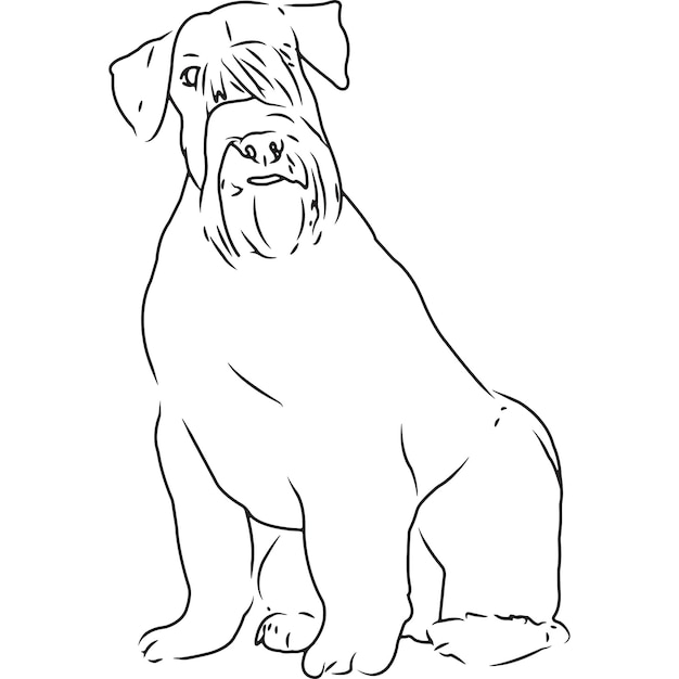 Vector miniature schnauzer dog hand sketched vector drawing