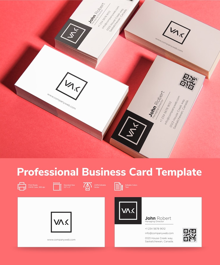 Vector minimal black and white business card