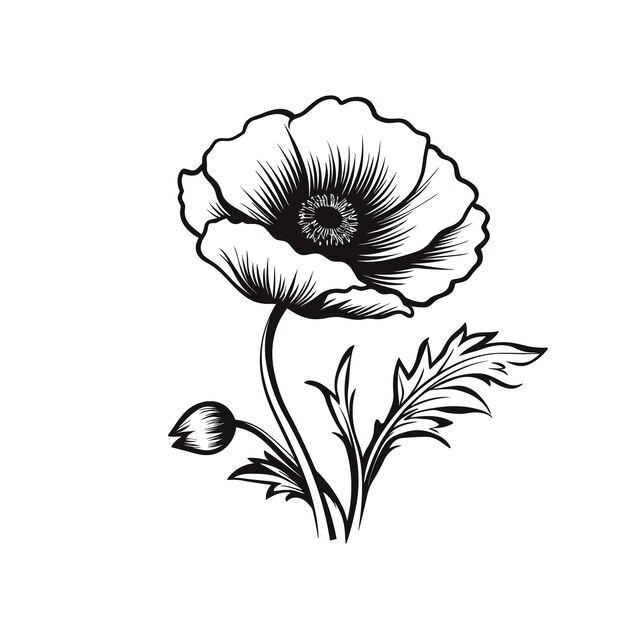 Vettore minimal disegnato florale botanica linea arte bouquets elementi alla moda di piante selvatiche e da giardino rami foglie fiori erbe illustrazione vettoriale per logo o tatuaggio invito salvare la data cardv