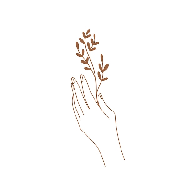 Vector minimal female hand in trendy linear style women's hand with branch