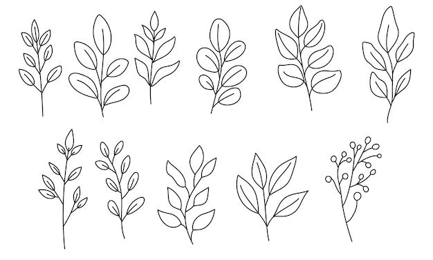 Vector minimal handdrawn leaves sketches featuring abstract designs