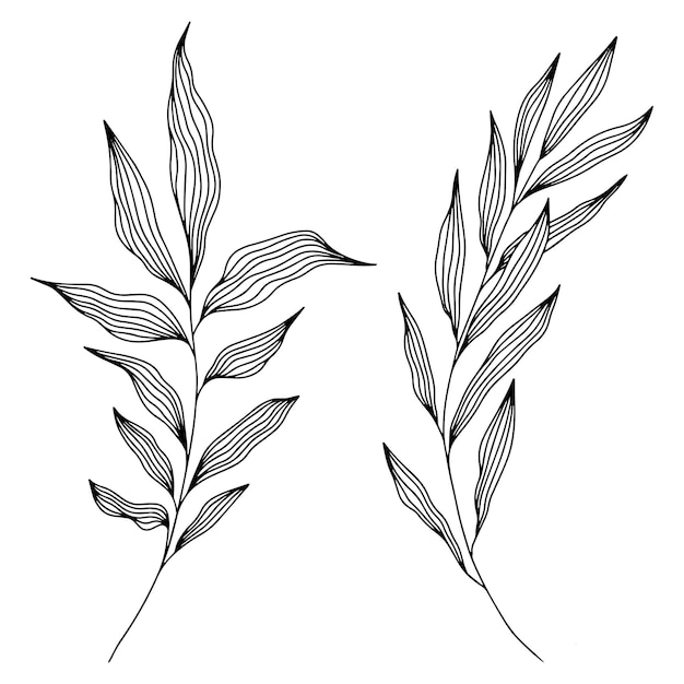 Minimal leaves lines in engraved style