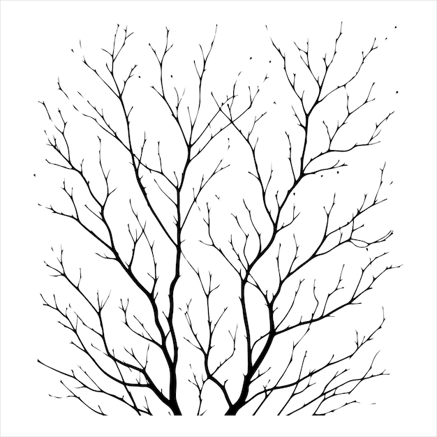 Vector minimal naked tree vector branches silhouette dead tree isolated on white background