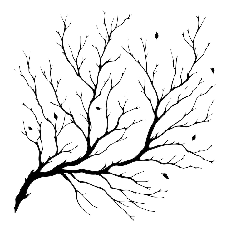 Vector minimal naked tree vector branches silhouette dead tree isolated on white background
