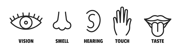 Vettore icone di senso minimo occhio naso orecchio mano lingua sensazione segno vettore sensoriale semplice segno
