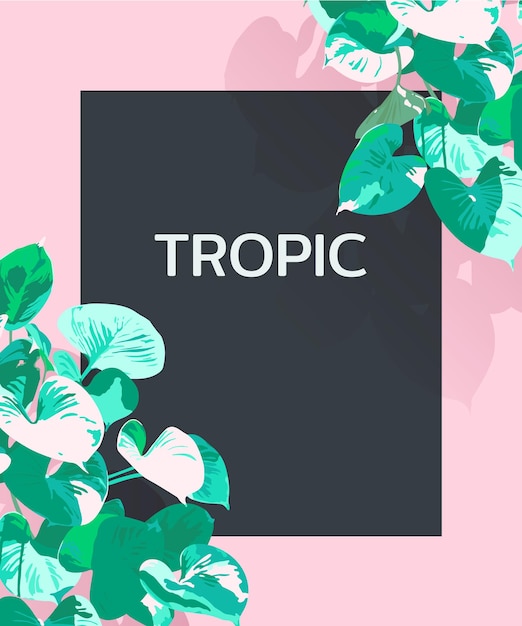 Vector minimal / simple modern retro aesthetic exotic araceae leaf graphic template, pastel colour palette with dark border space for text