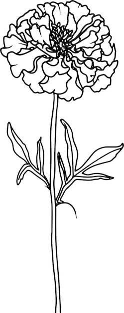 Minimale bloemen tekening doodle omtrek