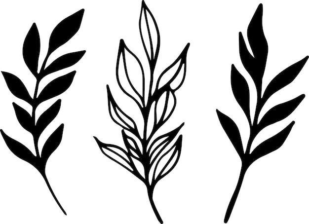 Minimalisme vectortakken Grafische bladeren voor tatoeages uitnodigingen zwarte en witte bladeren