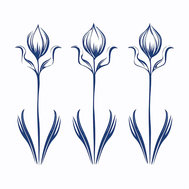 Minimalist bluebell illustrations in outline style ideal for modern designs