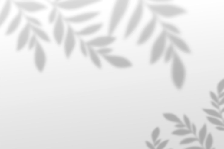 Vector minimalist blurred background with branches nature abstract texture blurred leaves with overly