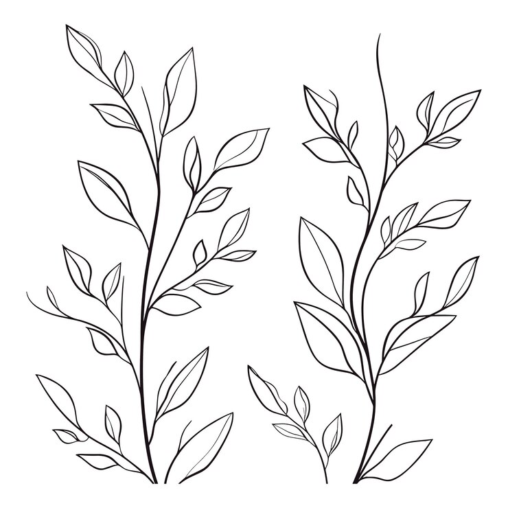Minimalist Botanical Illustration of Leafy Branches