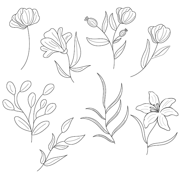 Foglia di fiore disegnata a mano di schizzo botanico minimalista disegno del tatuaggio a linea sottile