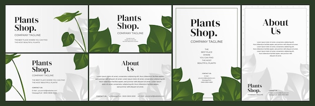 Vettore biglietto da visita e volantino in stile botanico minimalista per il negozio di piante