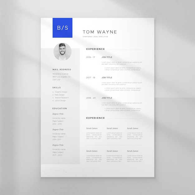 Vector minimalist cv template