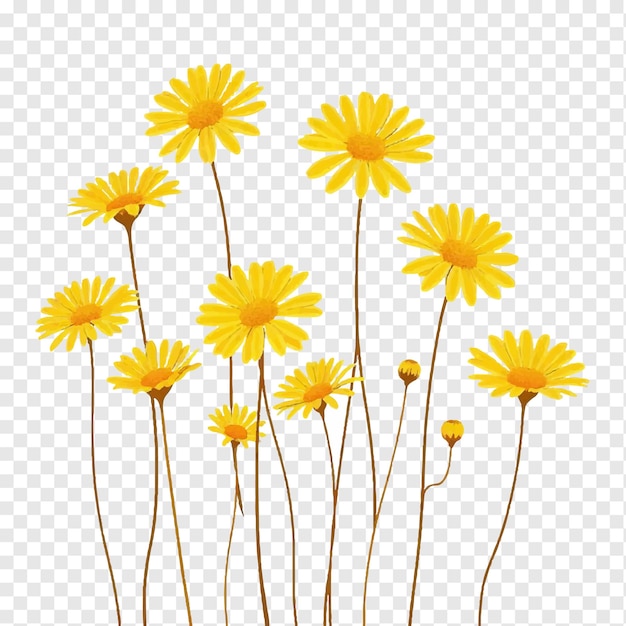 簡約的<unk>花輪廓花<unk>插圖剪輯
