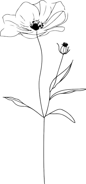 Minimalist elegant flower line art drawing