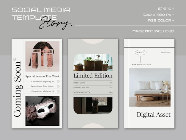 Vector minimalist fashion social media story template