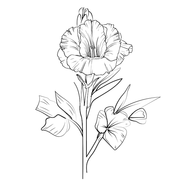 Vector minimalist gladiolus flower tattoo wrist gladiolus tattoo simple women's gladiolus tattoo