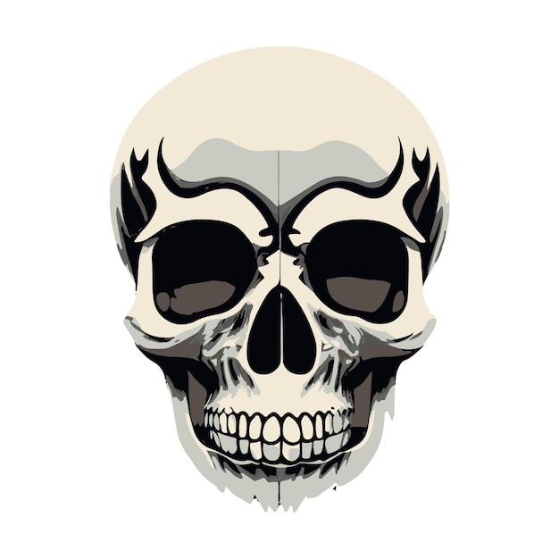 Vector minimalist human skull realistic vector illustration human dead head skull