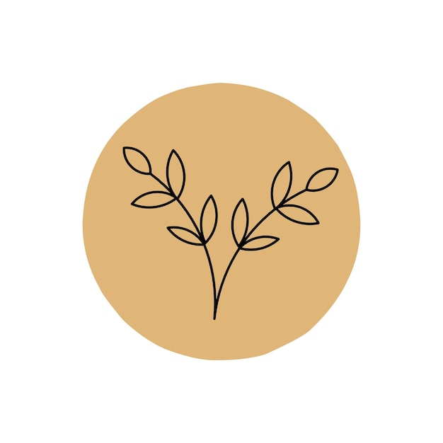 Minimalist plant on pastel background