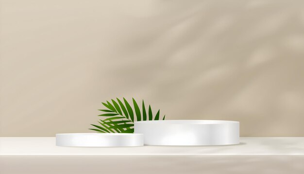 minimalist product display with palm leaf and podium