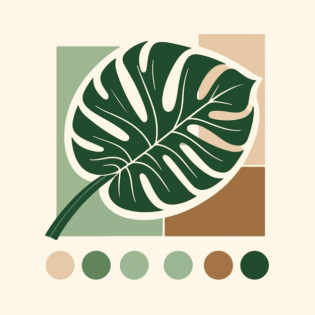 minimalist and simple vectorstyle illustration featuring a potted Monstera plant