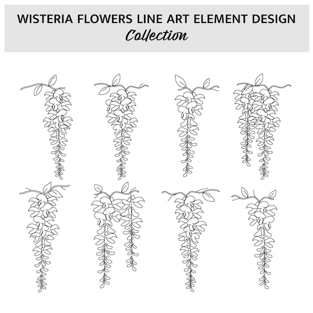 Minimalista fiore di glicina disegnato a mano